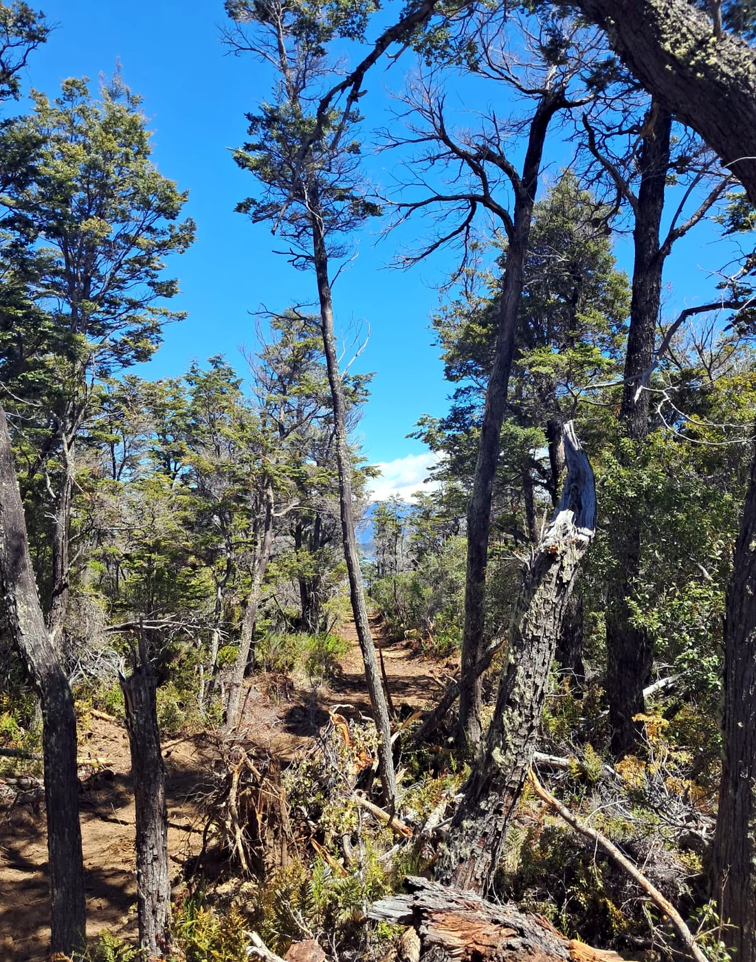 Turismo y naturaleza